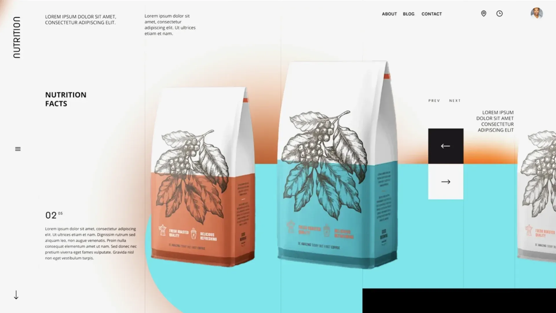 site web 2022 13